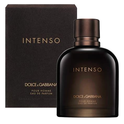 intense de dolce gabbana|Dolce & Gabbana intense for men.